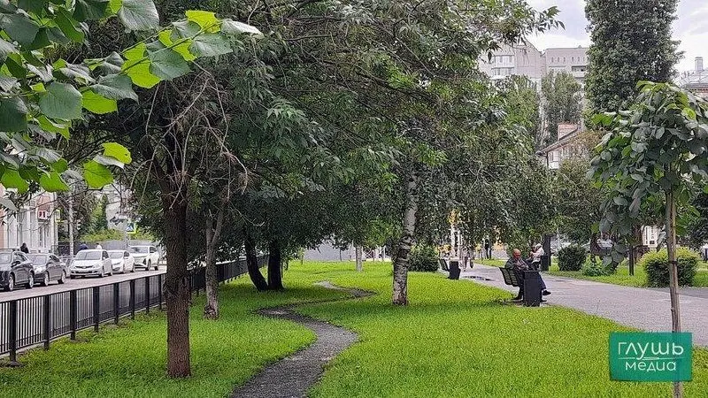 Депутаты предлагают внести изменения в правила награждения, чтобы стимулировать жителей участвовать в благоустройстве городских и сельских зон.