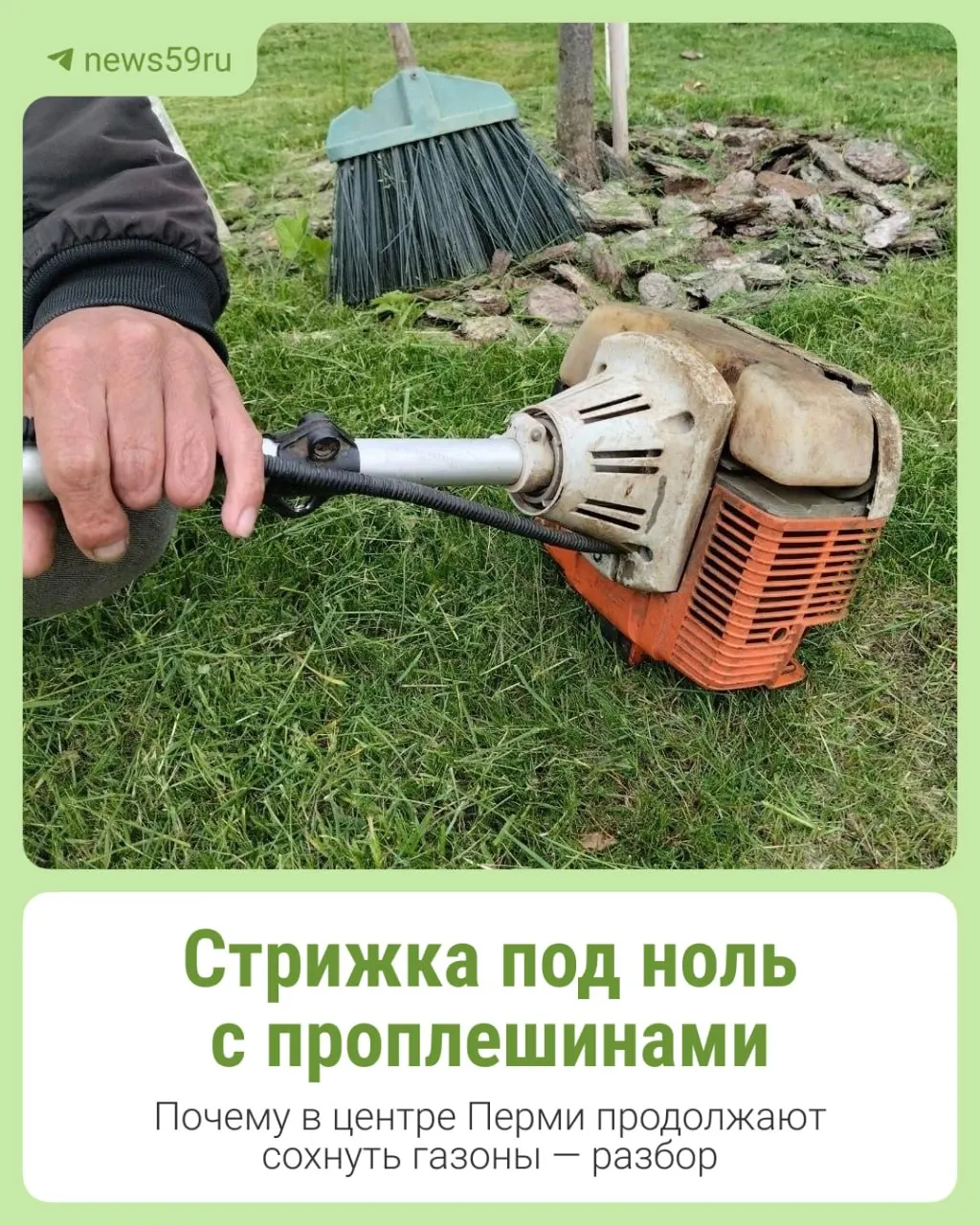 Жители Перми заметили, что газоны в центре города косили «под корень», вследствие чего появились оголённые участки. В администрацию направлен запрос с просьбой объяснить причину такой практики.