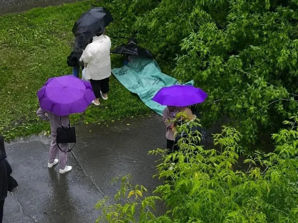 Во дворе дома на улице Крисанова ребёнок получил травмы — его доставили в больницу в состоянии средней тяжести, следователи возбудили уголовное дело.