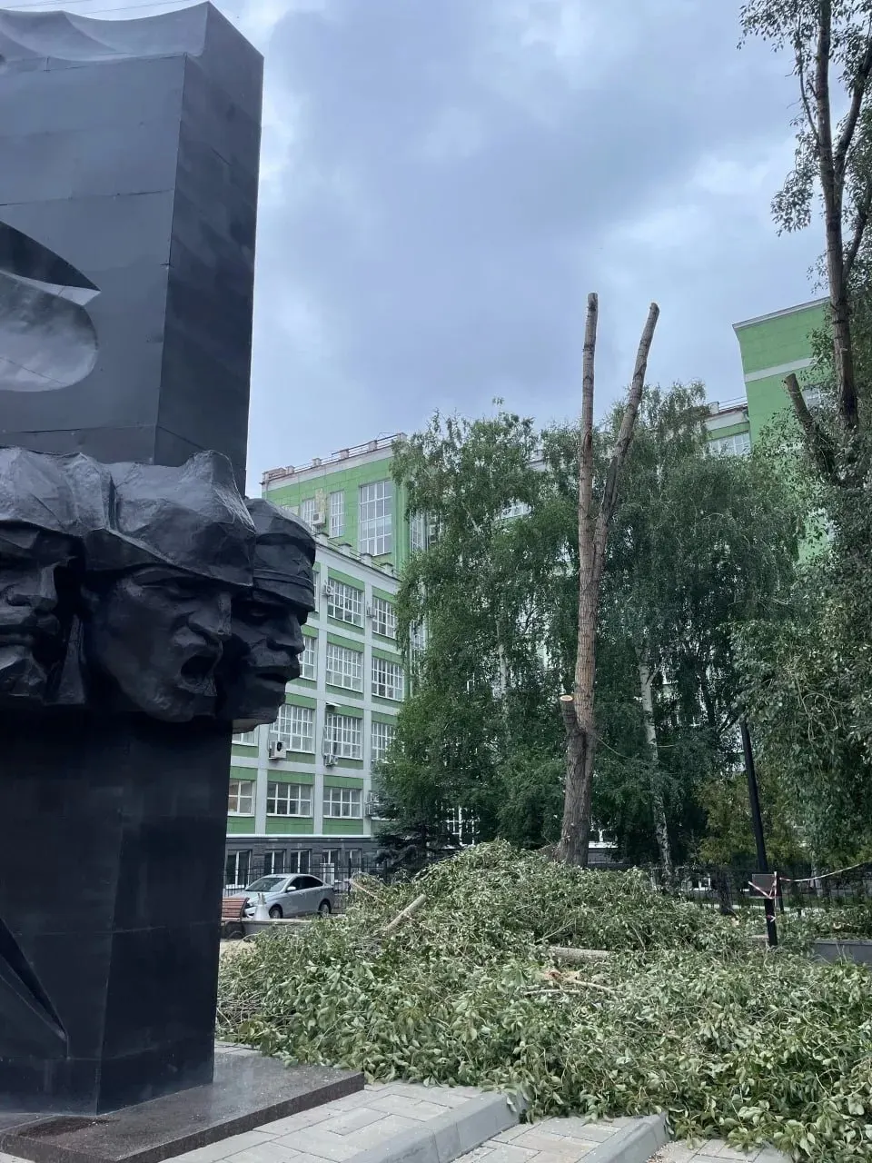 Возле перекрёстка Красноармейской и Чапаевской провели кронирование и спил нескольких больших деревьев. Жители требуют проверить законность работ, администрация заявляет, что одно дерево было аварийным, остальные работы — по правилам благоустройства.