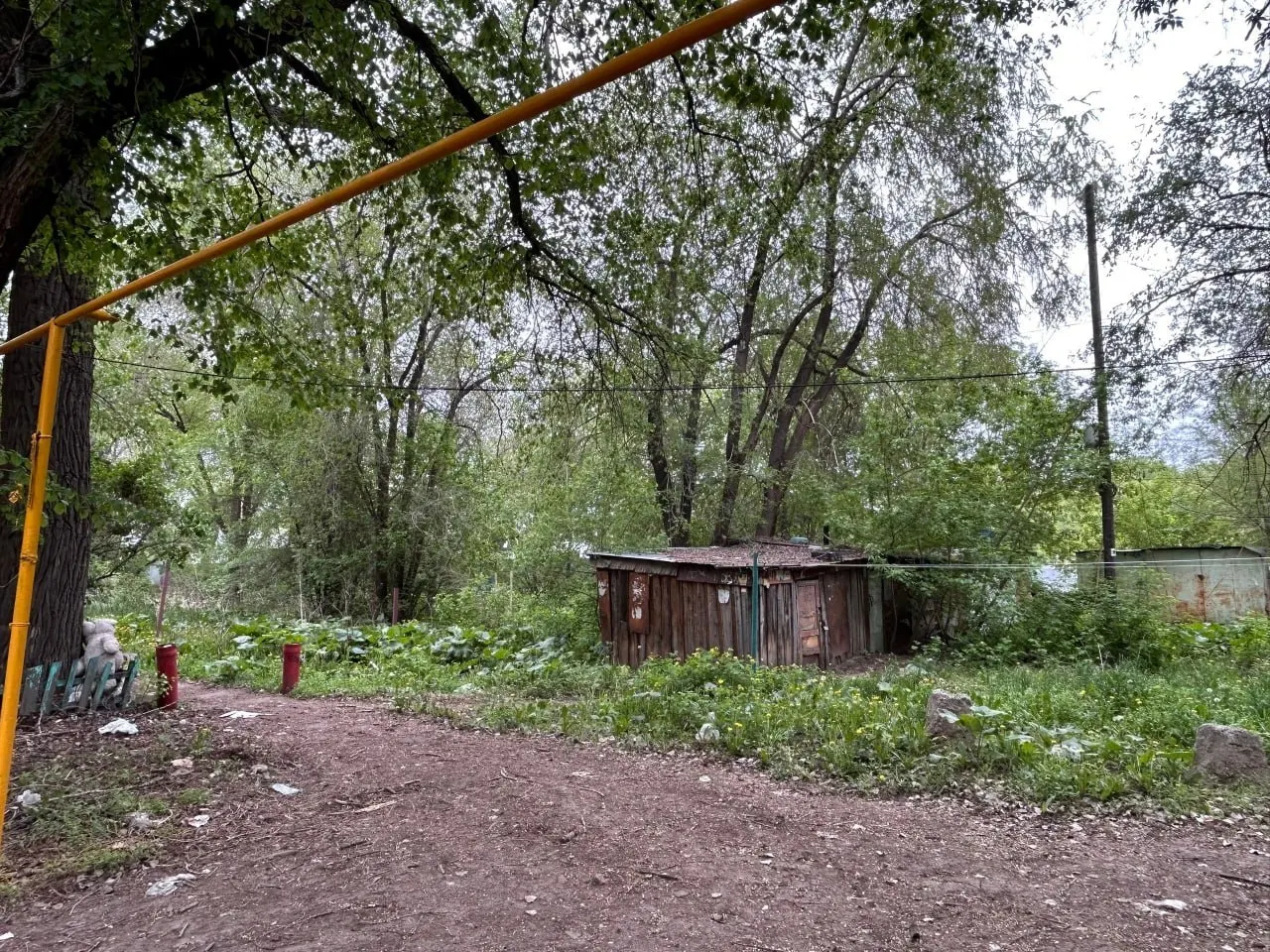 Жильцы дома №19 на улице Земца более пяти лет бьют тревогу: с крыши падают обломки, здание расселили лишь наполовину. Во второй части продолжают жить пенсионеры без горячей воды и с едва текущей холодной, а вокруг — заросли и горящий мусор.