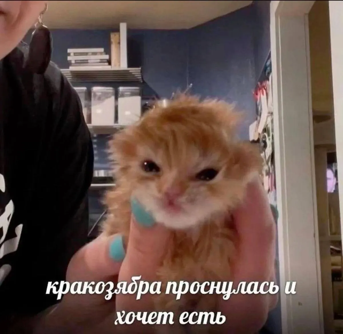Короткий прогноз на понедельник: тепло, дневная облачность и отсутствие осадков.