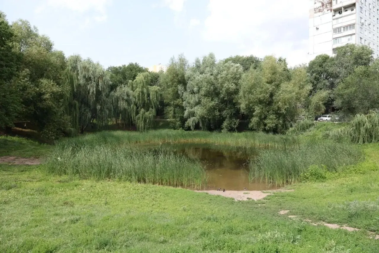 Водоём в сквере «Дубовый колок» почти полностью пересох: власти заявляют о планах расчистить котлован и восстановить пруд.