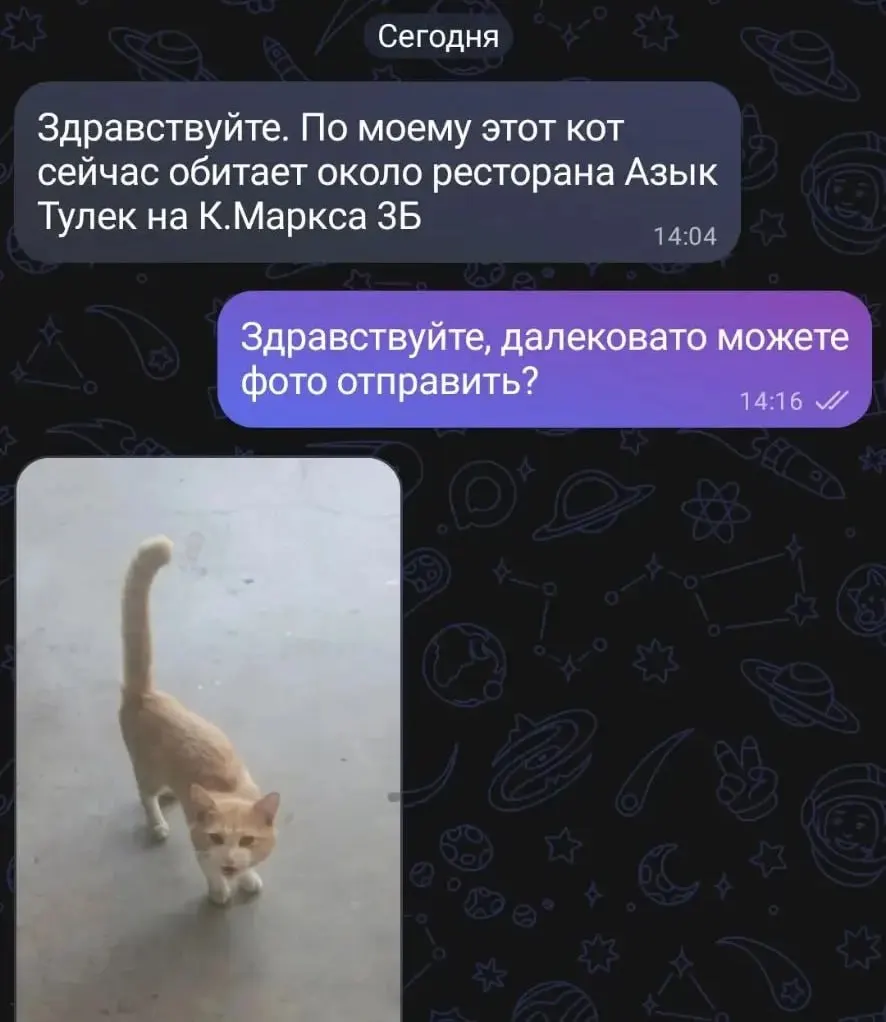 Кота по кличке Рыжик нашли и вернули в часть — он сыт, напоён и устроился на руках у коллег после трогательной встречи.