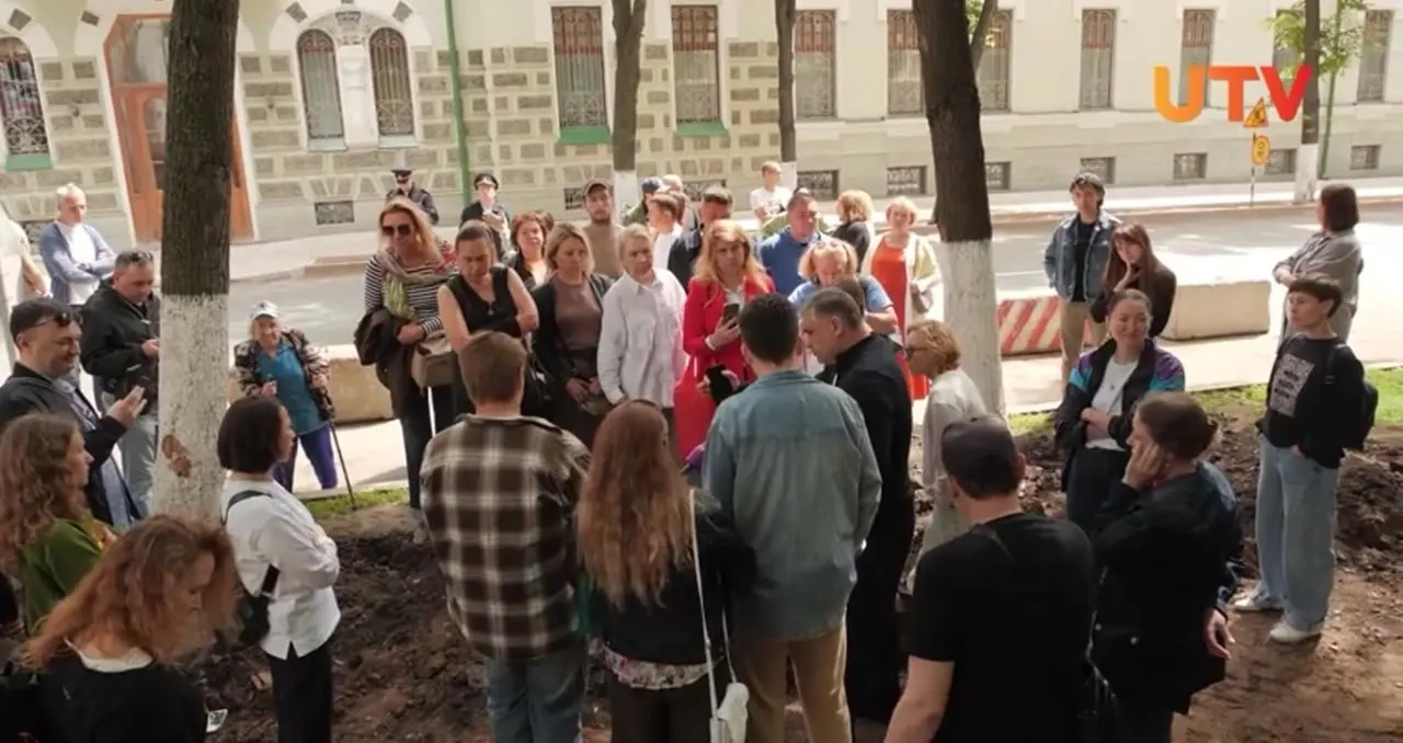 В администрации Уфы анонсировали разработку онлайн-площадки для учёта и контроля за деревьями — её могут представить в июле.