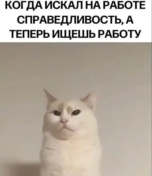 Опрос SuperJob и проекта Dream Job показал, что жители Саратова чаще всего отмечают агрессию руководителей, нарушение границ и токсичность; наибольшее недовольство — среди сотрудников НКО, культуры и образования.