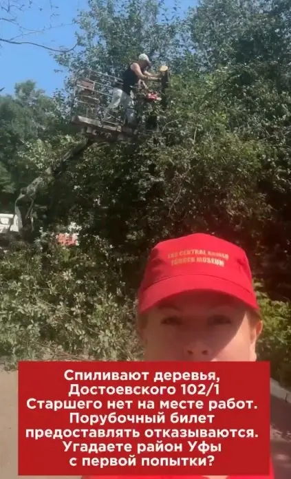 У дома на улице Достоевского мужчина отказался предъявить порубочный билет. Местная жительница утверждает, что тот ранее также вырубал деревья без разрешений. Разбираемся, когда документ обязателен.