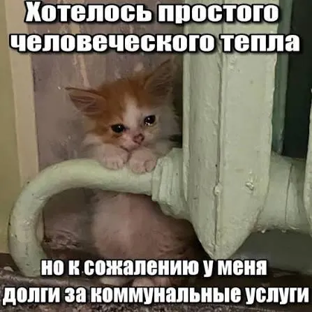 Суд подтвердил, что срок исковой давности по долгам за капитальный ремонт — три года. Требования о взыскании платежей старше этого срока нельзя принудительно исполнить.