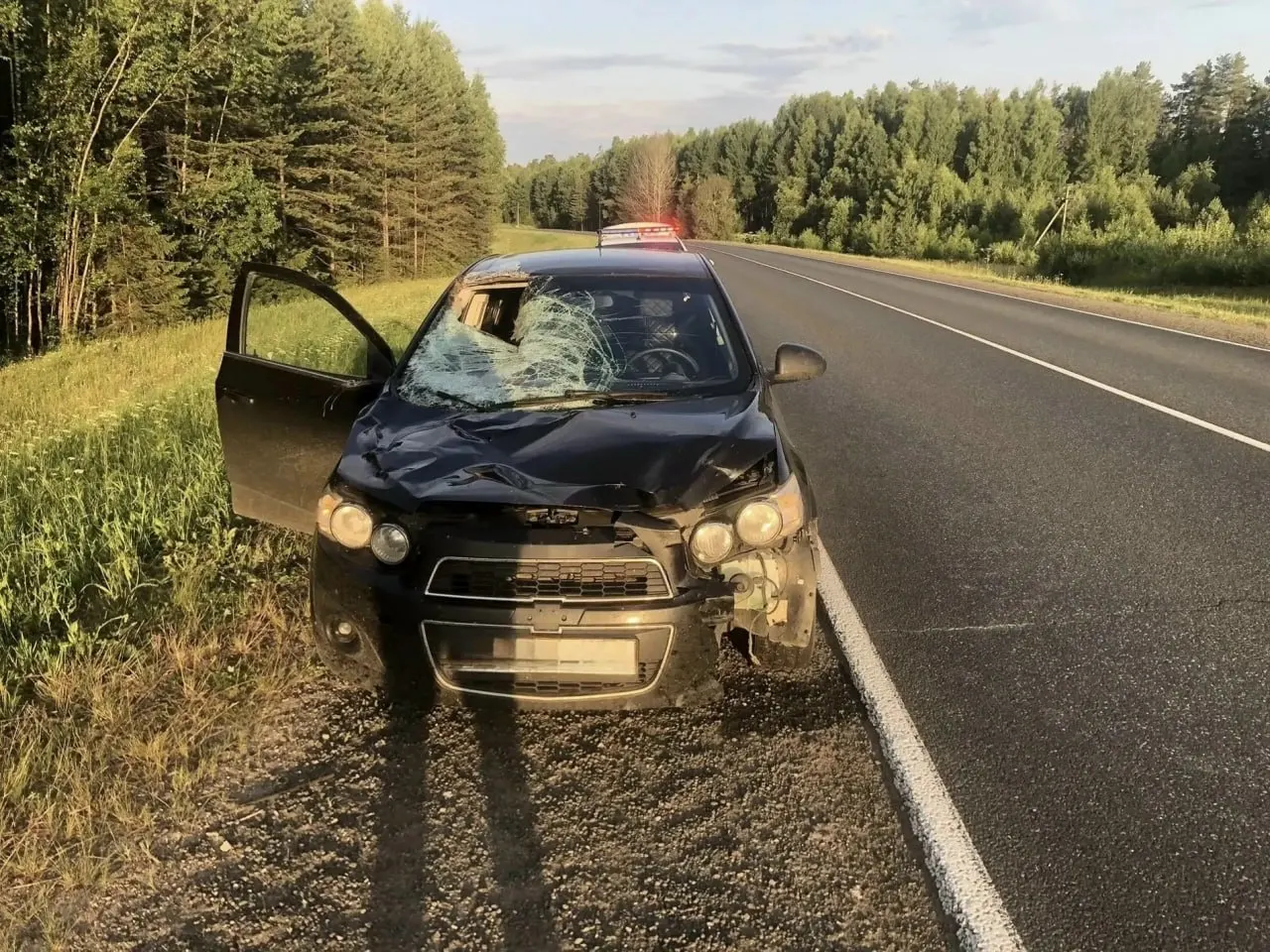 5 июля на 485 км трассы «Кострома — Шарья — Киров — Пермь» автомобиль Chevrolet Aveo наехал на лося; 24‑летняя пассажирка получила травмы.