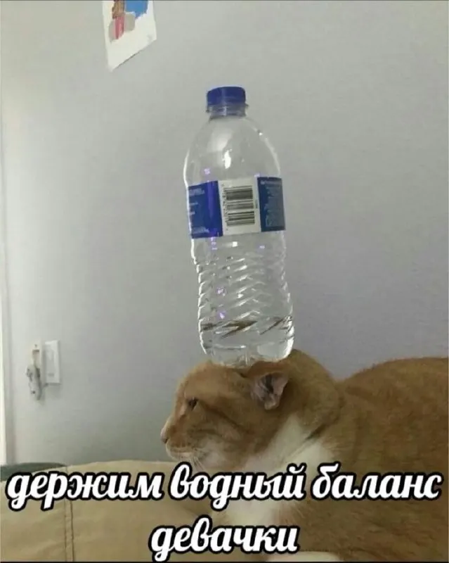 В связи с аномально высокой температурой в Самаре установят точки с питьевой водой в местах массового скопления людей, чтобы помочь горожанам и гостям города.
