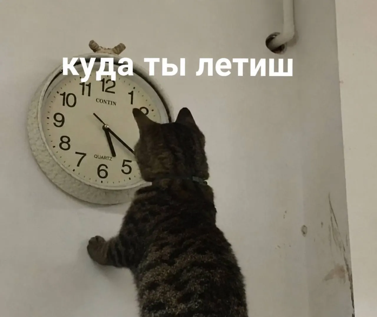 В Самаре ожидается тёплый день: синоптики прогнозируют около 24 градусов. Сегодня отмечают «день второй половины года».