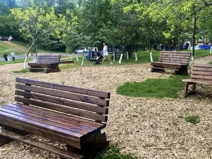 На пляже Загородного парка смонтировали деревянный настил. На склоне установили дополнительные лавочки и уложили мульчу вокруг растений для сохранения почвы и комфорта отдыхающих.