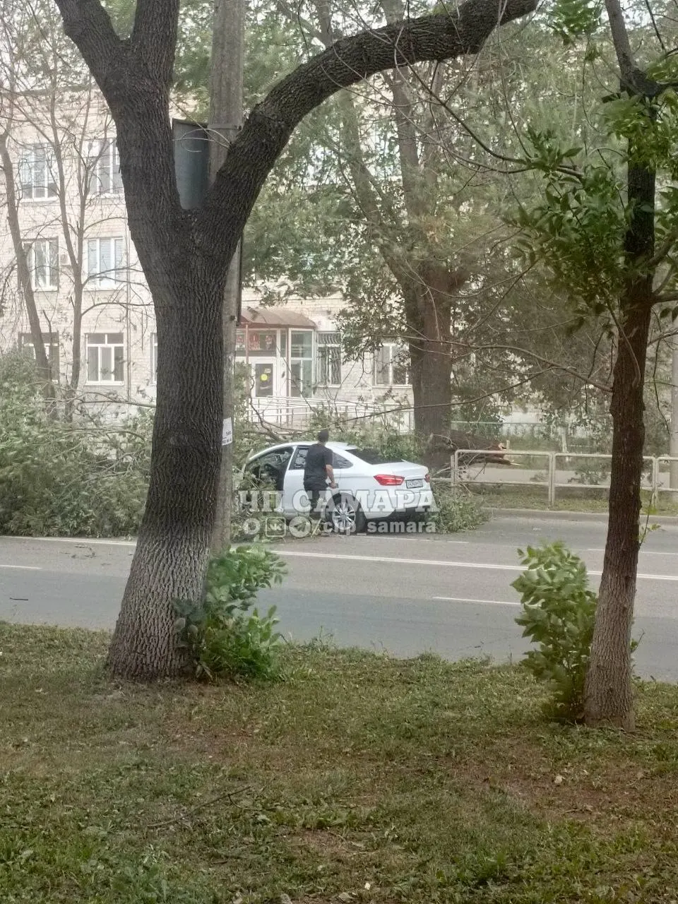 Дерево упало на дорогу на площади Кирова. Движение затруднено; на месте работают экстренные службы.