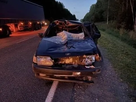 4 августа в 19:55 на 177-м километре трассы Киров — Советск — Яранск водитель ВАЗ-2115 наезд на лося; травмы получила женщина-пассажир.