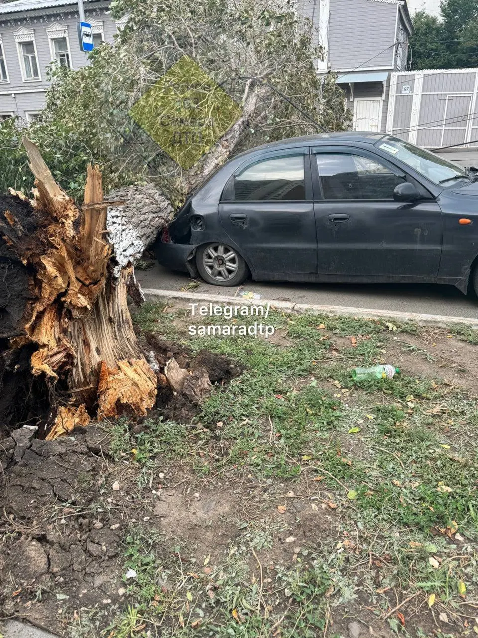 На Ленинградской улице дерево упало на автомобиль. Движение затруднено, на месте работают спасатели.