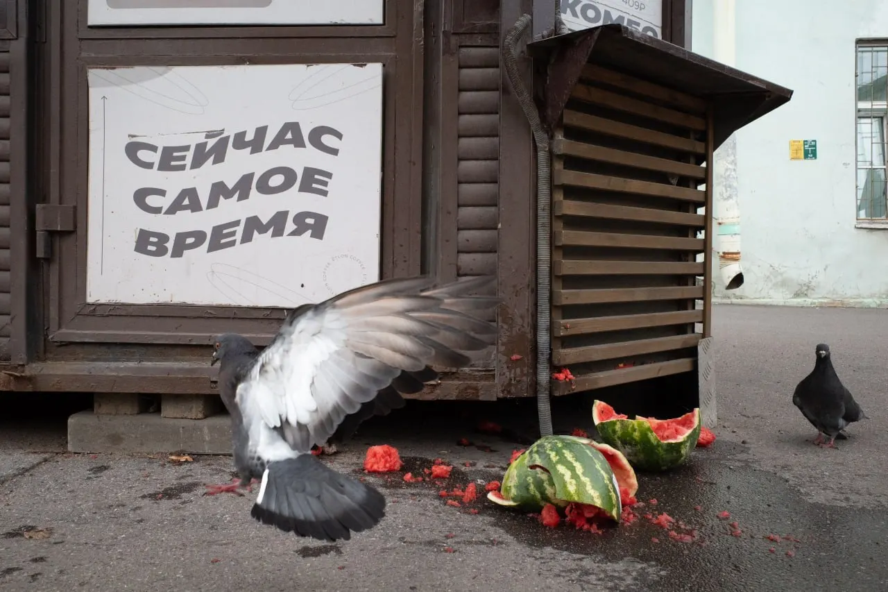 Короткий обзор событий: штраф за антивоенное заявление священника, новые итоги выборов и регистрации кандидатов, памятная служба и перестановки в Минобороны.