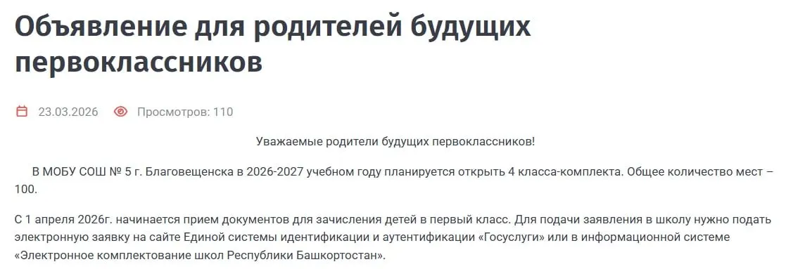 В Благовещенске обсуждают ситуацию в школе №5: активисты утверждают, что можно было разделить учеников на четыре класса, а администрации района — что переполнения нет.