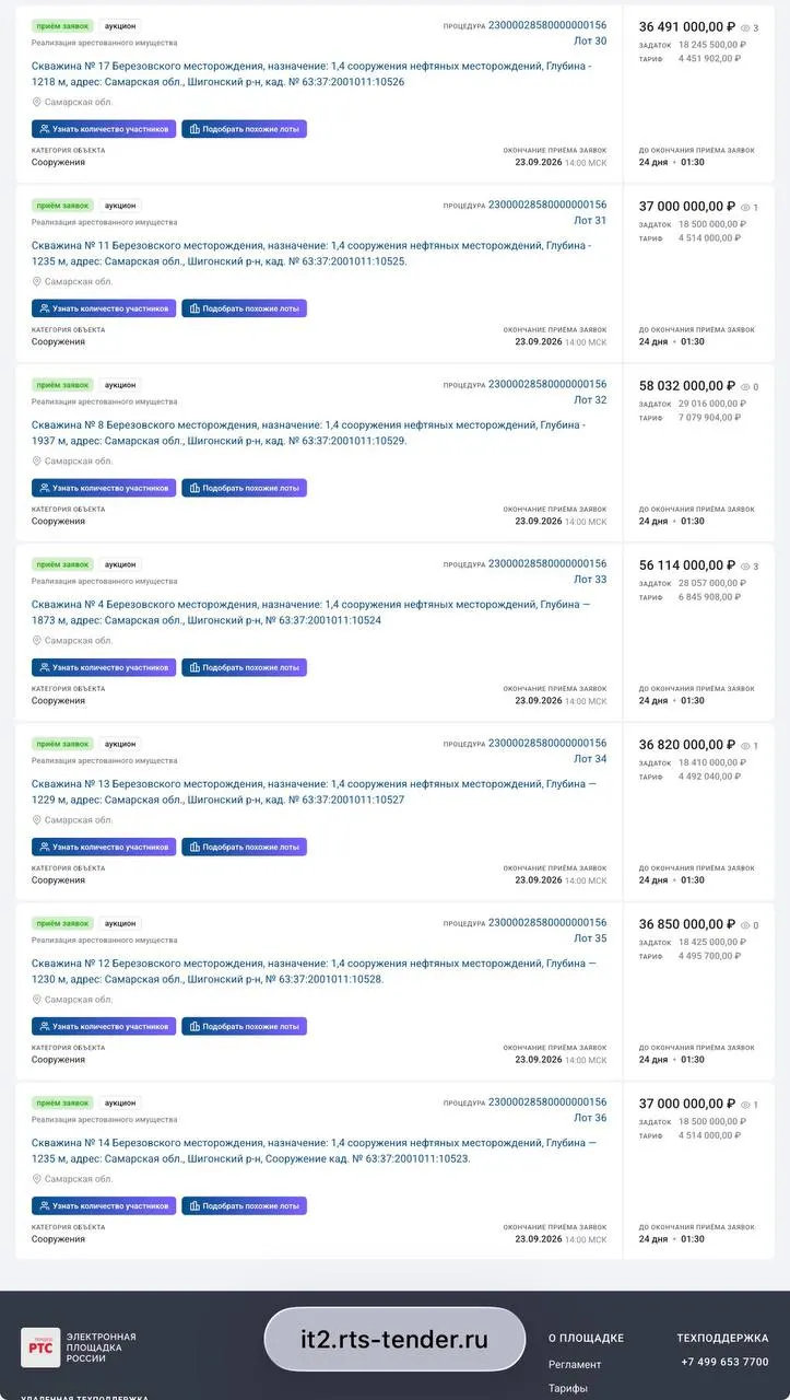 Государство передаст семь глубоких скважин в частные руки в Шигонском районе рядом с Березовкой; глубина выработок 1,2–2 км; стартовая цена 36,5 млн рублей; торги состоятся в конце сентября.