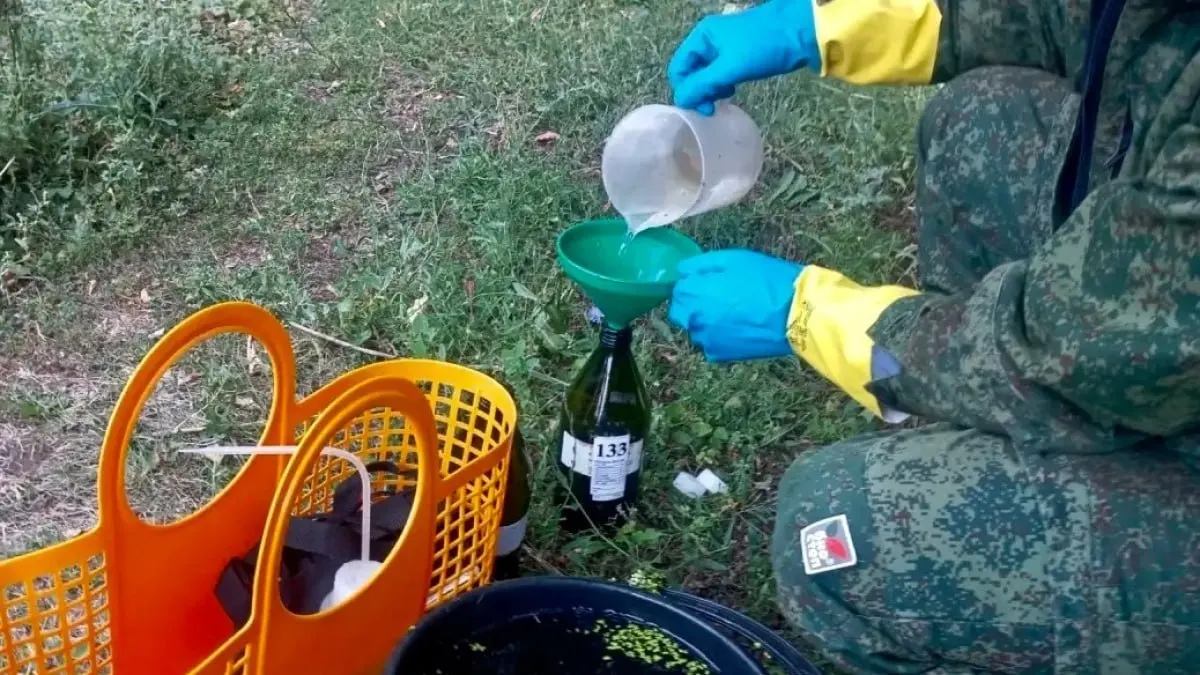 При обследовании реки Овсянка выявлено помутнение воды и гибель рыбы; основная версия — вмешательство неизвестной спецтехники.