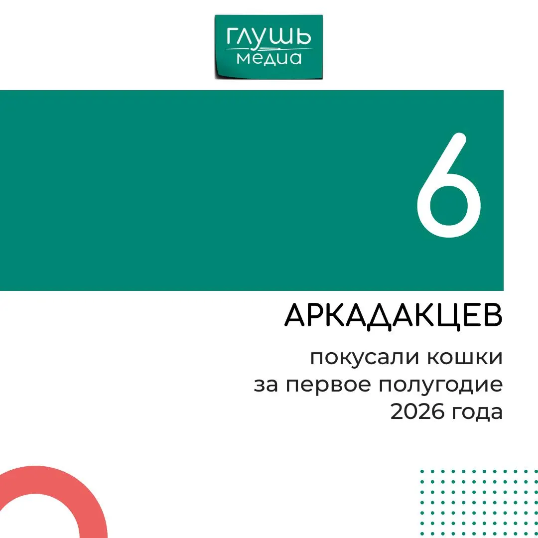 С 2026 года зафиксировано 35 случаев укусов животных: 29 — собак и 6 — кошек.