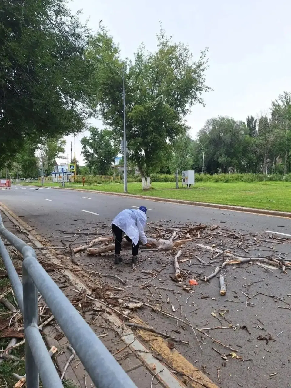 Двое волонтёров на Московском шоссе оперативно устранили упавшее дерево, не дожидаясь коммунальных служб.