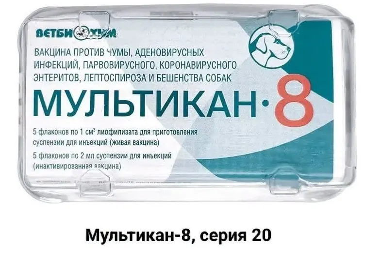 Пострадавшие требуют прозрачного расследования и открытия информации по гибели собак после вакцинации препаратом «Мультикан-8»; случаи зафиксированы в нескольких регионах страны.