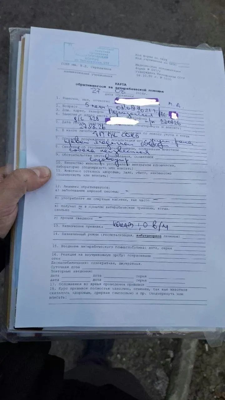 Семьи в Самаре сообщают об укусе ребенка бездомной собакой возле детского сада; жители требуют отлова и усиления контроля.