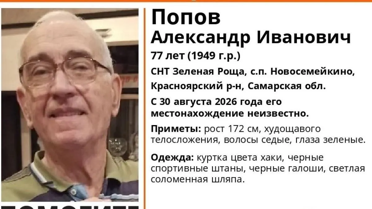 Полиция разыскивает пенсионера Александра Попова, пропавшего 30 августа в СНТ «Зелёная Роща» под Новосемейкино; мужчина дезориентирован и нуждается в медицинской помощи.