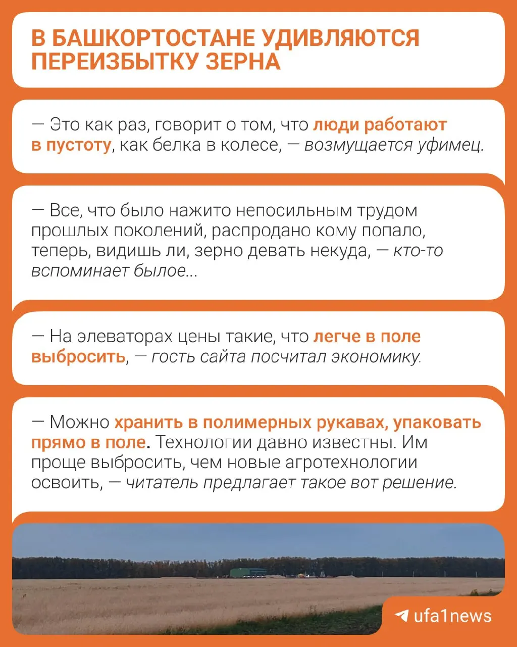 На полях региона зафиксирован избыток зерна; цифры обсуждаются экономистами и властями.