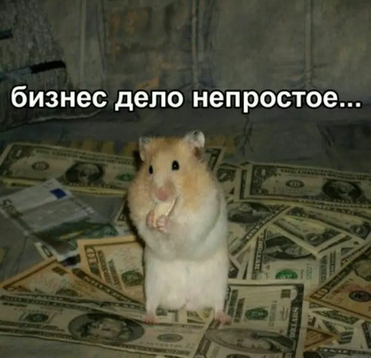 Следствие считает, что руководитель завышал расходы и применял спорные вычеты по НДС, что привело к недоплате налогов на сумму около 98 млн рублей; арестованы счета и имущество на примерно 100 млн.