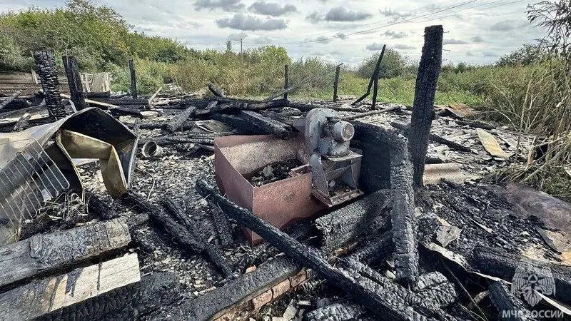 В сарае в селе Владыкино Ртищевского района Саратовской области произошёл пожар; по предварительным данным, причиной стало аварийное использование электрооборудования, погибли два теленка и кролик.