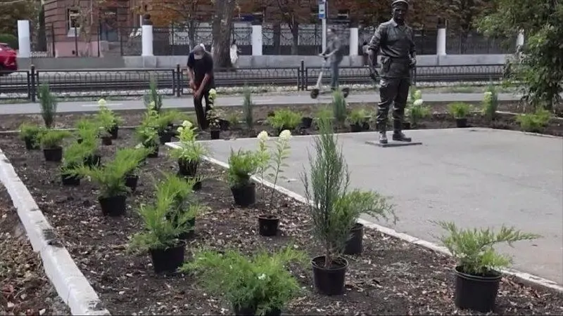 На улице Астраханской в Саратове высадили деревья и кустарники; продолжаются работы по озеленению.