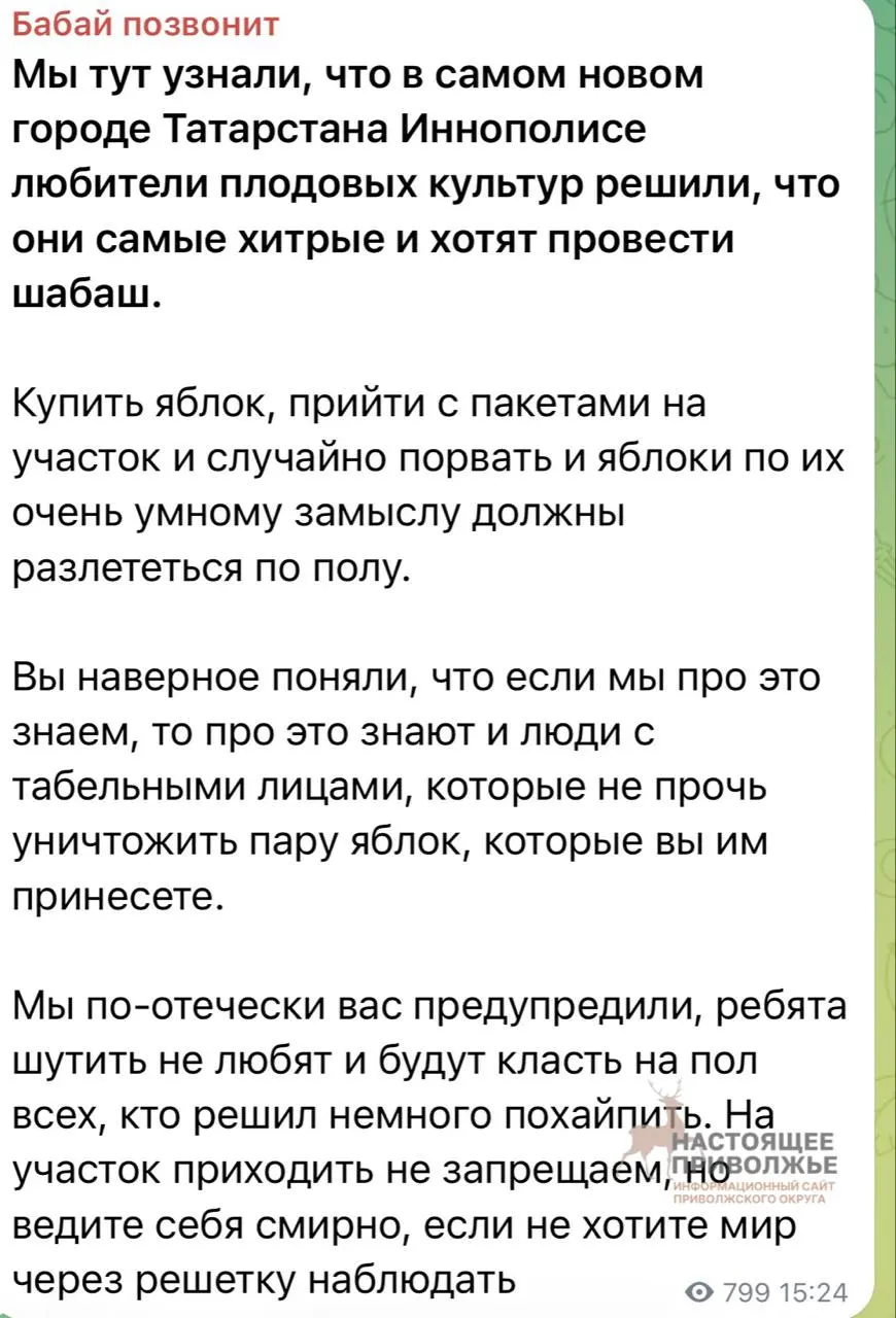 Участники выборов и сторонники оппозиции в Татарстане столкнулись с угрозами, адресованными тем, кто планировал прийти на участок №1259 с яблоками.