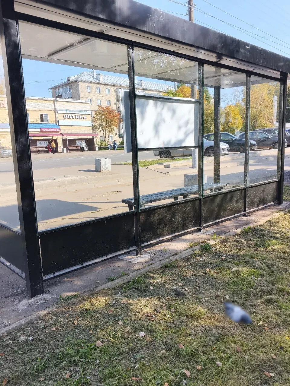 Жители жалуются на остановку «Универмаг»: птицы не видят прозрачное стекло и врезаются в него, что приводит к гибели птиц.