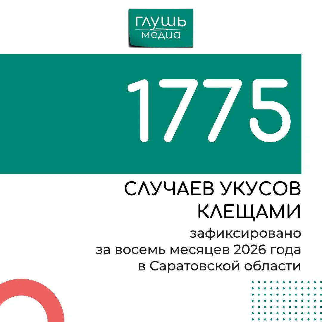 За восемь месяцев 2026 года жители региона чаще обращались к медикам после укусов клещей; благоприятные погодные условия сохраняют активность насекомых.