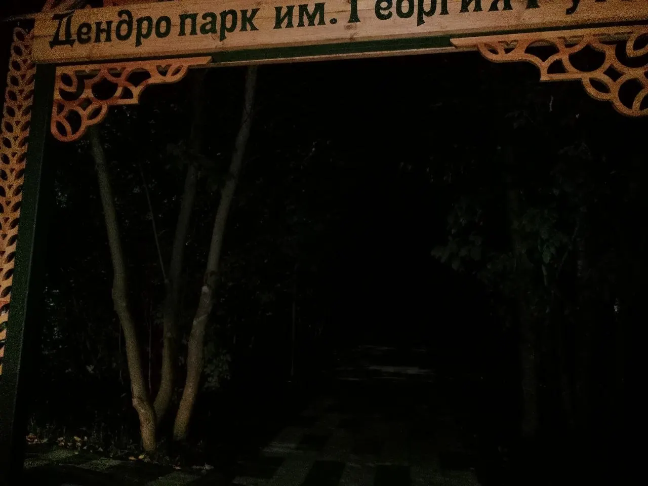 Освещение дендропарка отсутствует ночью. Контракт на благоустройство оценён в 34,4 млн рублей, пока объекты не переданы на баланс города.