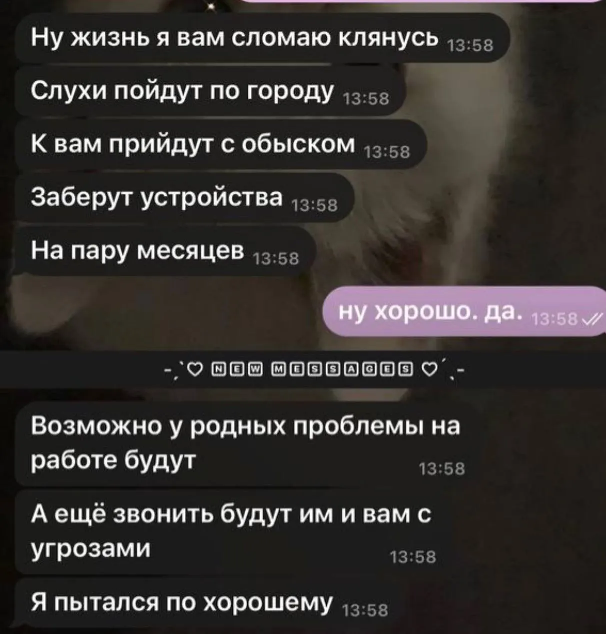 По словам Екатерины Мизулиной, сначала требовали подарки через Telegram, затем появился поддельный канал с ложными угрозами в адрес школ.