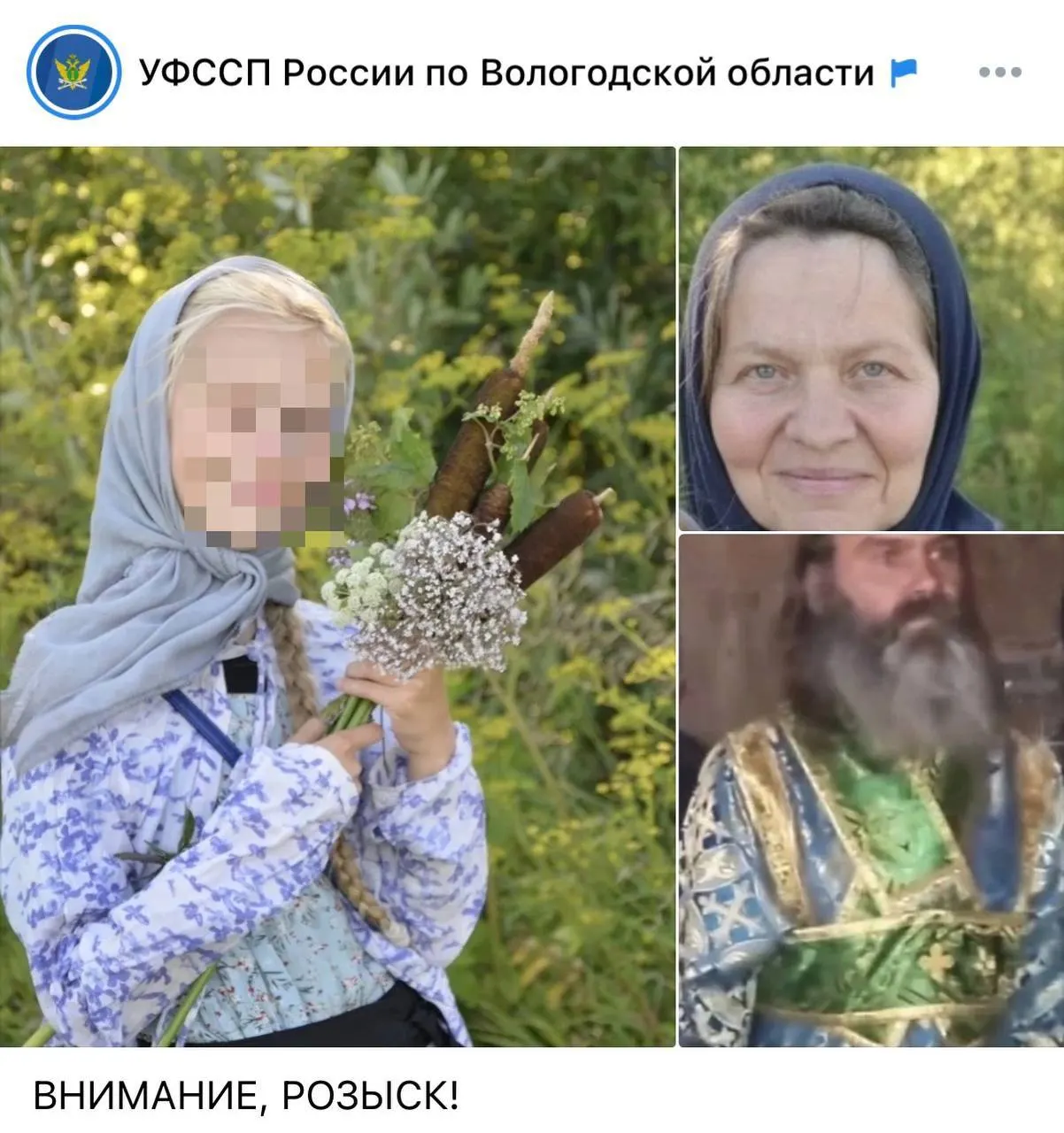 Глава Следственного комитета потребовал представить доклад по делу об исчезновении 11-летней вологодской девочки и по делу о деятельности секты в Ульяновской области; материал находится под контролем центрального аппарата.