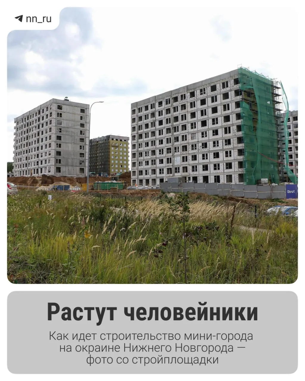 Рядом с районами Новинки и Ольгино планируется возведение десятков жилых домов, школ и детсадов; работы уже начались на отдельных участках.
