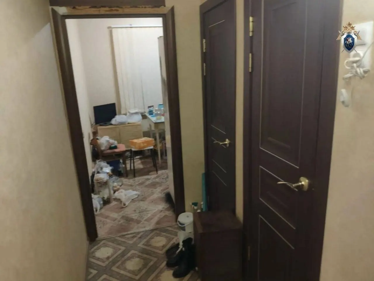 44-летняя женщина ударила ножом мать и отца; отец погиб, мать выжила. Суд вынес наказание — 14 лет колонии.