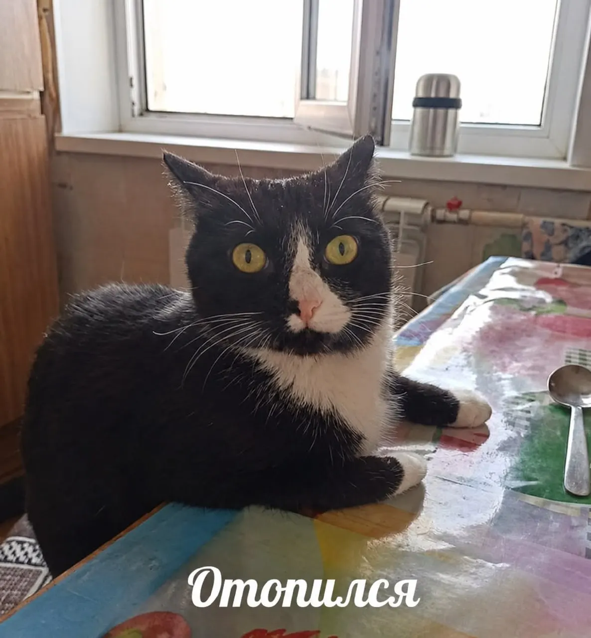 В Уфе отопление подключено к 89% жилых домов. Прогрев систем может занять до трёх суток; запланированы проверки БашРТС с 7 по 15 октября.