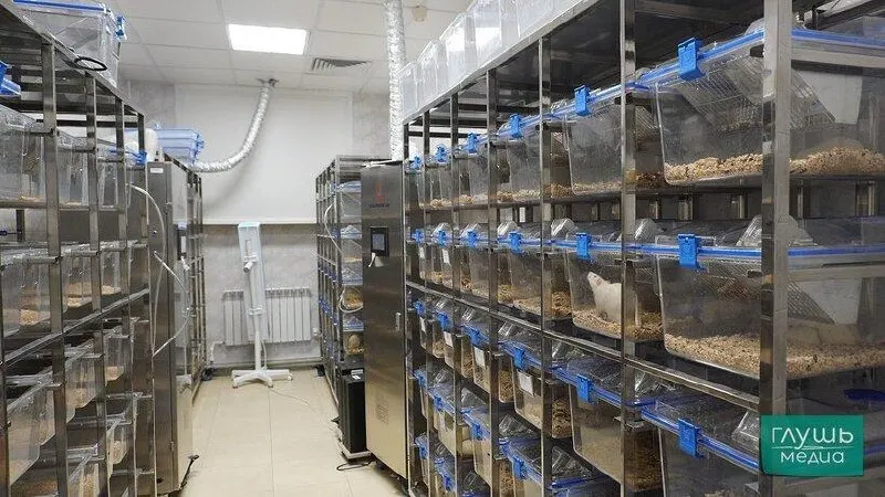 Рейтинг основaн на данных Росстата и Роспатента и учитывает человеческие ресурсы, базу и динамику развития научно-технологической сферы региона.