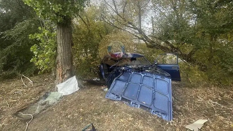 В 11:20 возле дома №1 в Кировском районе Саратовa погиб 26-летний водитель ВАЗ-2107 после выезда в дерево.