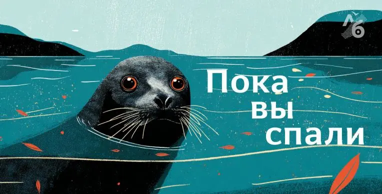 Краткий обзор последних событий по регионам Приволжского федерального округа: митинги, расследования и инциденты в нескольких городах.