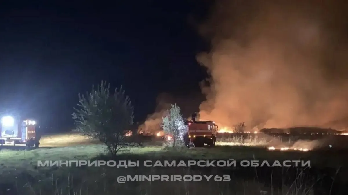 Пожар в лесу Безенчукского района ликвидирован: площадь возгорания составила 2 гектара.