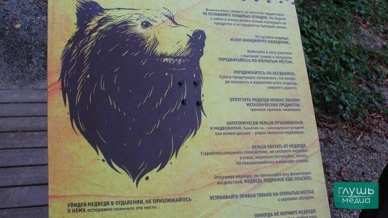 Свидетельства наблюдений за медведем зафиксированы в Неверкинском районе Пензенской области, близ границы с Саратовской областью; власти предупреждают о повышенной осторожности.