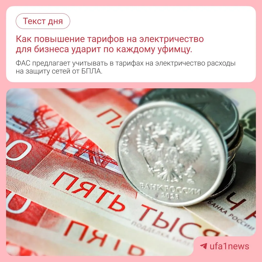 ФАС предложила изменить правила расчета тарифов, чтобы учитывать расходы сетевых компаний на защиту электросетей от беспилотников; это может повлечь рост цен.