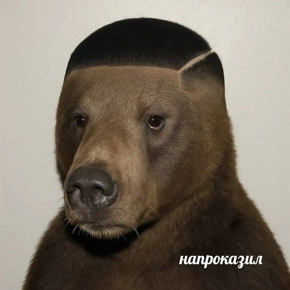 Наблюдение следов медведя возле деревни Азово вызывает внимание местных властей: специалисты работают на месте, жители сохраняют спокойствие и готовы к любой ситуации.