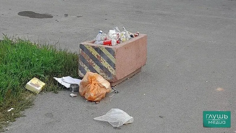 В регионе объявлен месячник по благоустройству; запланированы массовые уборки на улицах, в скверах и парках.